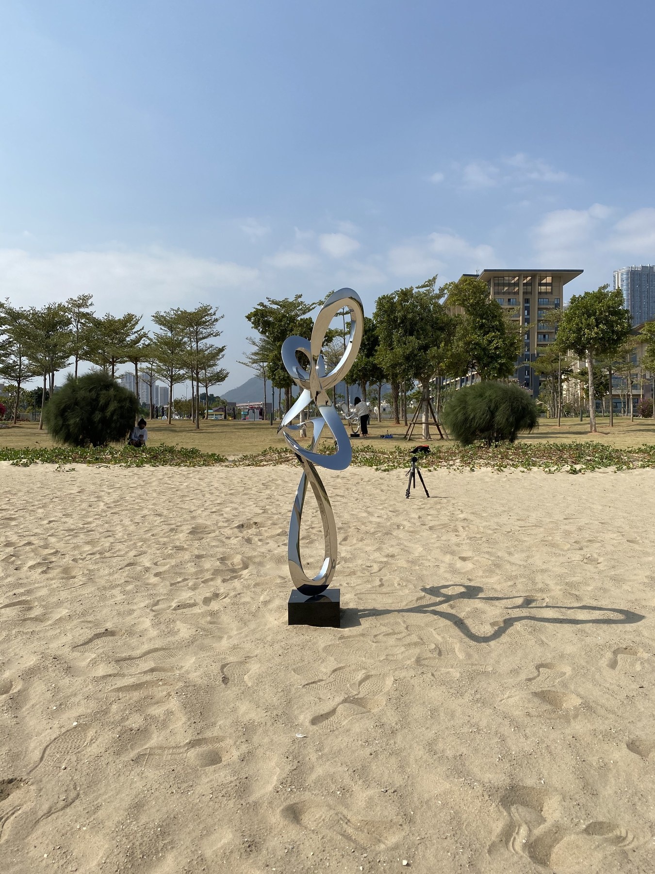 Mirror Stainless Steel Ribbon Sculpture